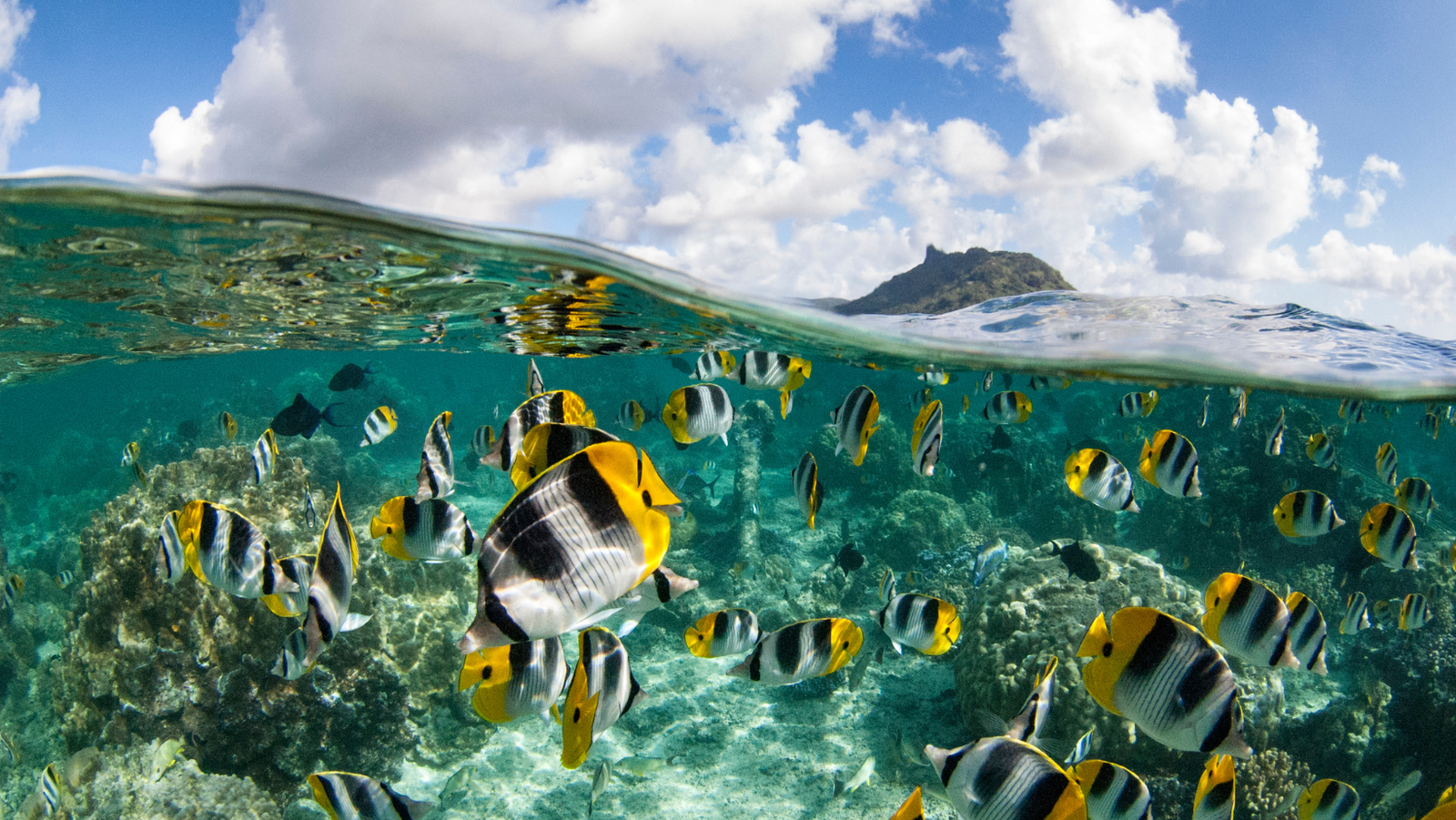 south pacific